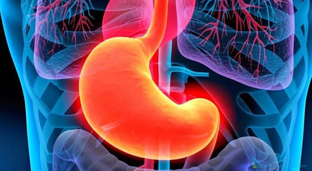 丙肝抗体阳性;丙肝病毒 丙肝抗体阳性;丙肝病毒