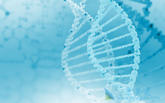 �����������𣿱��β���Ϊʲô�ܹ������������