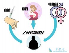 �Ҹβ����Ĵ���;������Щ�������Ҹλᷢչλ��Ӳ����