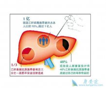 �Ҹβ���Я���������������Ҹλ��߻����Ҹμ���