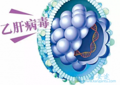 �����Ҹκ��Ŀ�������������