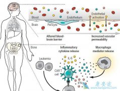 ʲô��ϸ�����ӷ籩ϸ����ϸ����������ʲô����ģ�