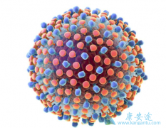 �Ҹα��濹ԭ���Ҹα��濹��ͬʱ��������ô���£�