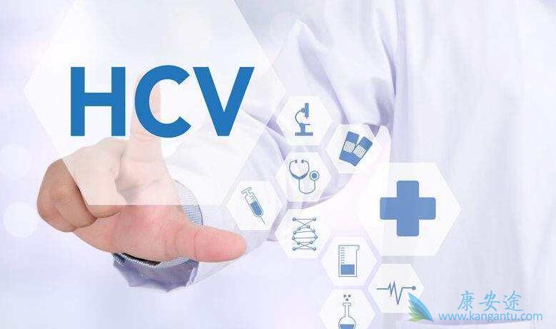 丙肝病毒 丙肝病毒