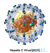 ������ô��Ⱦ����ô������β����������˺���