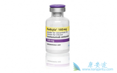 ��Щ���߿���ʹ�������鵥�������а������ƣ�