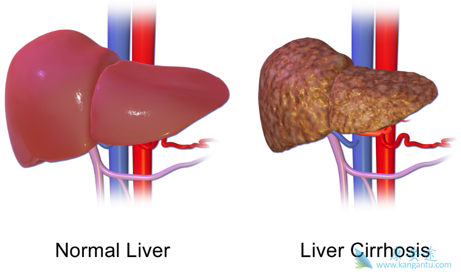 原研药;TAF 原研药;TAF