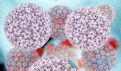 ���β������״�Ⱦ�𣿱��δ�Ⱦ��ʽ����Щ��