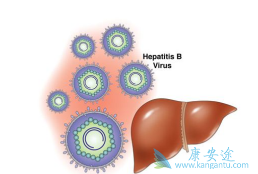 两对半对照表;乙肝病毒 两对半对照表;乙肝病毒