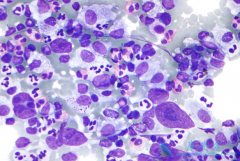 ������ܰ������߻����ڼ��ܽ���������