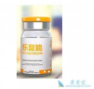 �ָ��������������������͸��׵�����ҩ��