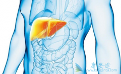 �Ҹ�С�������Ҹδ�����Ҫ��Ҫ������Ҫ���ι���