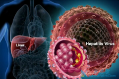 �Ҹ������еĺ��Ŀ��������ǻָ��ڻ����Ҹβ��������ڣ�