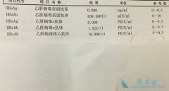 ʲô���Ҹκ��Ŀ��壿�Ҹβ����ĸ�����ǿ��