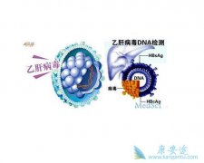 ���ߵ������Ʒ�ʽ�����Ҹβ���Я������Ч����