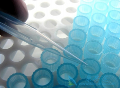 ���λᴫȾ�𣿱��ε�����һ��Ҫ��ʱ