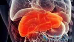 ���ε���������Щ�ֶΣ��������������Ƕ��٣�