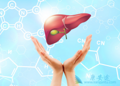 ���ο��岻����Ϊ���͸����������ָ��