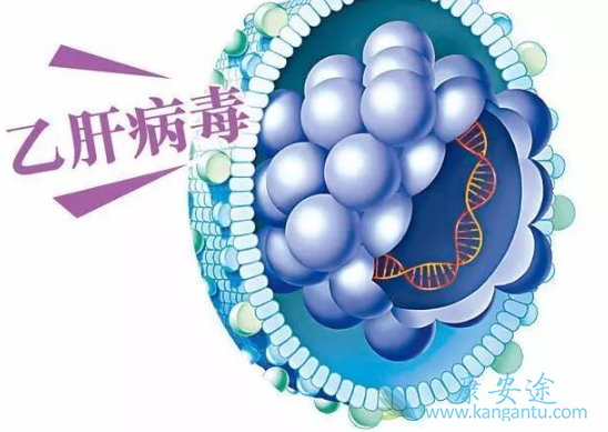 核心抗体阳性 核心抗体阳性