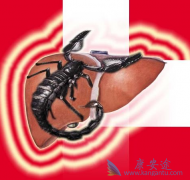 TAF��TDF˭���ܽ������Ҹλ��ߵĸΰ����գ�