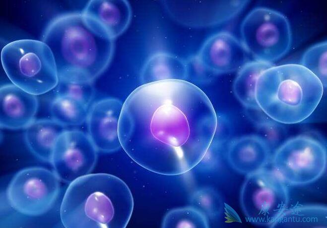 细胞因子风暴 细胞因子风暴