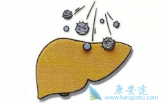 ���ε����Ʒ�������Щ��������ô���ƣ�