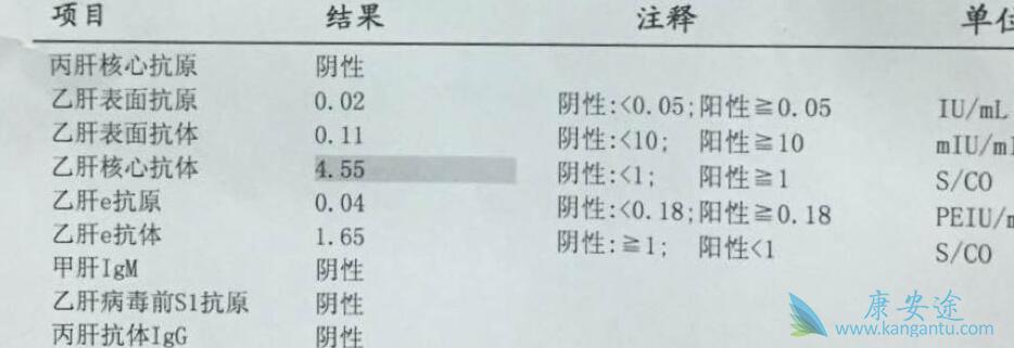 乙肝核心抗体 乙肝核心抗体