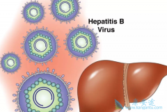 �Ҹδ�Ⱦ����Щ��Ϊ���������Ҹβ���������