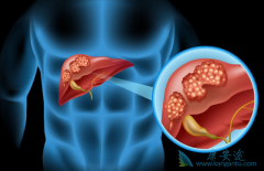 �����Ҹ������򵰰�Ҫ�ݻ���Щ����ע�䣿