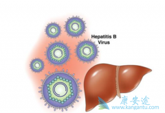 ���԰���ձ���ô�����ҸεĴ���;������Щ��