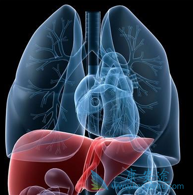 肝癌;乙肝病毒 肝癌;乙肝病毒