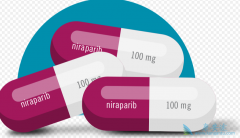 ��������/Niraparibҩ����Ϣ���