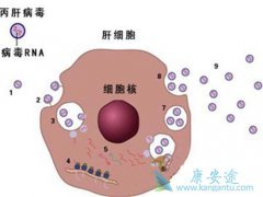 ���β��������������������Ի��β������Ʒ�ʽ