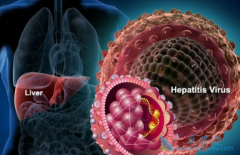 �Ҹα��濹��ת��Ҫ���Ҹ�������