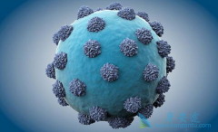 ���ο���������ʲô��˼�����ο���ĳ��ڷ�Ӧ�������ģ�