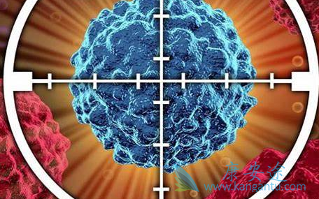 肿瘤;癌症 肿瘤;癌症