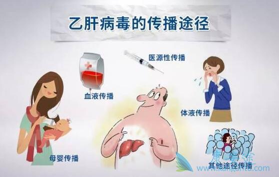 丙肝的传播途径 丙肝的传播途径
