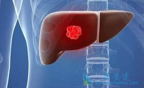 丙肝病毒;丙肝治疗 丙肝病毒;丙肝治疗