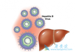 �Ҹβ���Я���ߺ��Ҹβ�����ʲô�����Ҹλ�ת��Ϊ�ΰ���