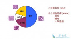 ��Сϸ���ΰ�ʹ�ð���ҩ����Ч����