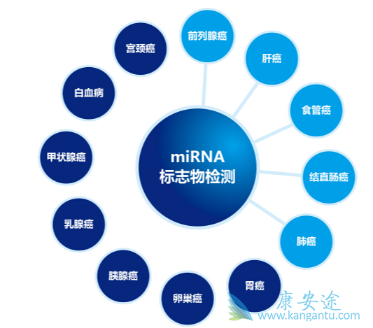 肿瘤;肿瘤标志物 肿瘤;肿瘤标志物