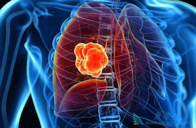 布加替尼 布加替尼