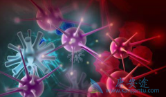 ����Ϊʲô�Ḵ��������ת������ô�죿