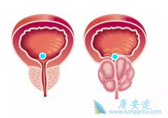 ǰ���ٰ�ҩ���˰�������������Щ���̵�������е�ҩ��