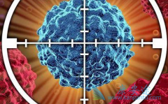 �������ᱻ�����Ǹ������ĸ��²�Ʒ