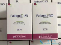 CDK4/6���Ƽ���������Լ̷�������ҩ������Ч�ܺ�