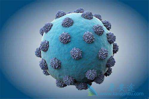 丙肝的治疗方法 丙肝的治疗方法