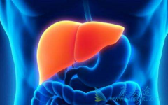 ���������κñ�������û���õı������Ʒ�����