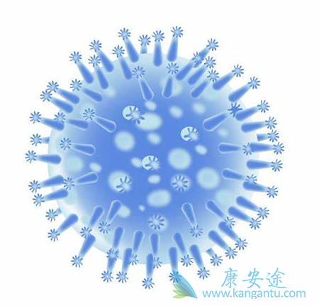 乙肝病毒;乙肝的治疗 乙肝病毒;乙肝的治疗