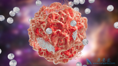 ���Ӧ�����������к��ӵ���ʹ��